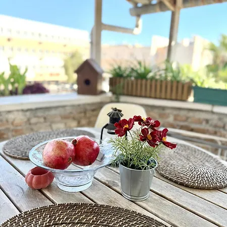 Apartment Old Town Kaleici Magnificent House With Kitchen